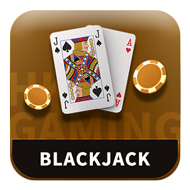88platinumtgl.co